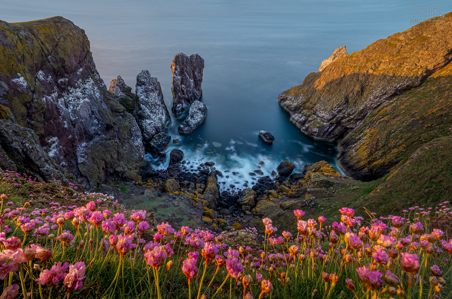 St Abbs Head De prachtige kliffen met bloeiend Engels gras in het natuurreservaat van St Abbs in Berwickshire aan de Schotse oostkust. Stefan Cruysberghs